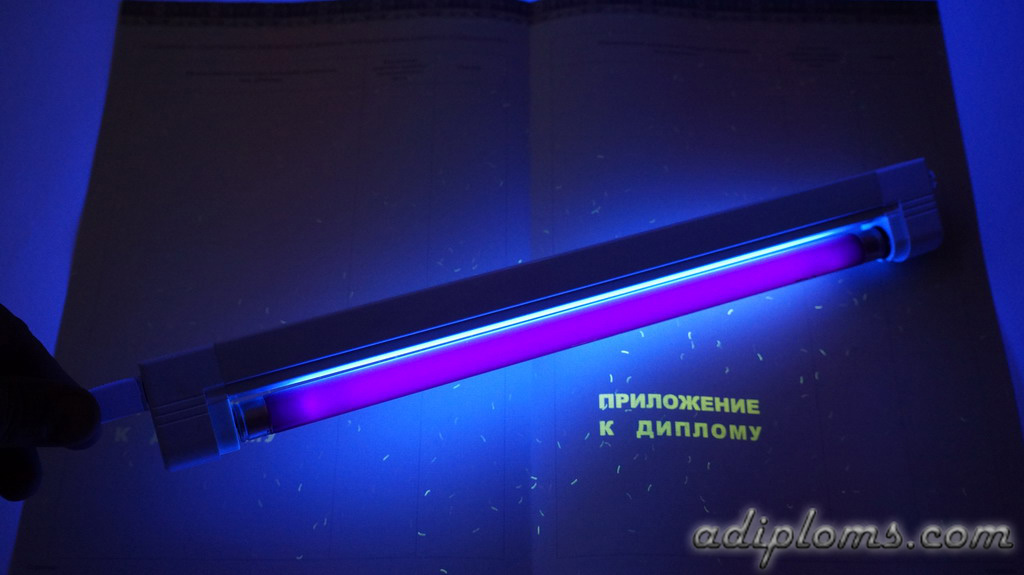 Диплом бакалавра 2014-2025 Фото Диплом бакалавра 2014-2025 Фото