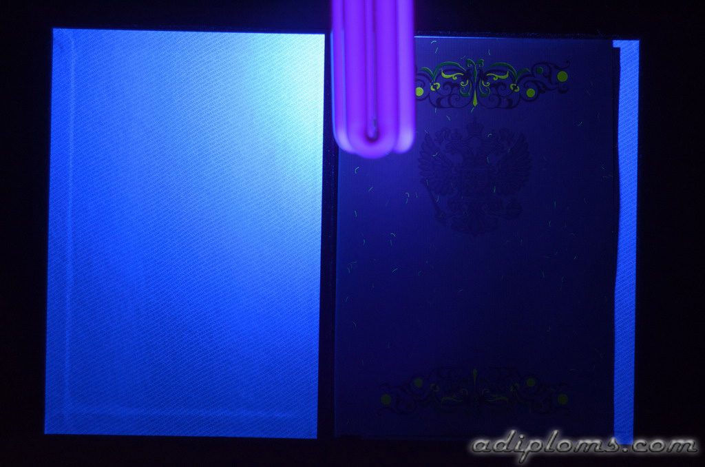 Диплом магистра 2010-2013 Фото Диплом магистра 2010-2013 Фото